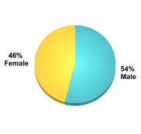 Undergraduate Student Gender:Male: 54%Female: 46%