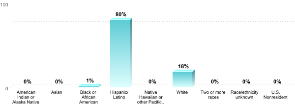 Student Race/ethnicity:American Indian or Alaska Native: 0%Asian: 0%Black or African American: 1%Hispanic/Latino: 80%Native Hawaiian or other Pacific Islander: 0%White: 18%Two or more races: 0%Race/ethnicity unknown: 0%U.S. Nonresident: 0%