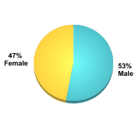 Undergraduate Student Gender:Male: 53%Female: 47%