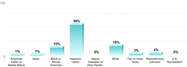 Student Race/ethnicity:American Indian or Alaska Native: 1%Asian: 1%Black or African American: 15%Hispanic/Latino: 58%Native Hawaiian or other Pacific Islander: 0%White: 18%Two or more races: 3%Race/ethnicity unknown: 4%U.S. Nonresident: 0%