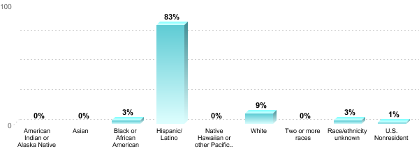 Undergraduate Race/ethnicity:American Indian or Alaska Native: 0%Asian: 0%Black or African American: 3%Hispanic/Latino: 83%Native Hawaiian or other Pacific Islander: 0%White: 9%Two or more races: 0%Race/ethnicity unknown: 3%U.S. Nonresident: 1%